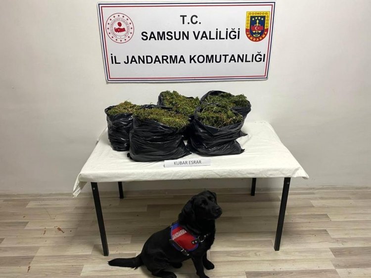 Samsun 3. sayfa: Samsun'da yazlık eve operasyon: 15 kilo kubar esrar ele geçirildi, 2 kişi yakalandı